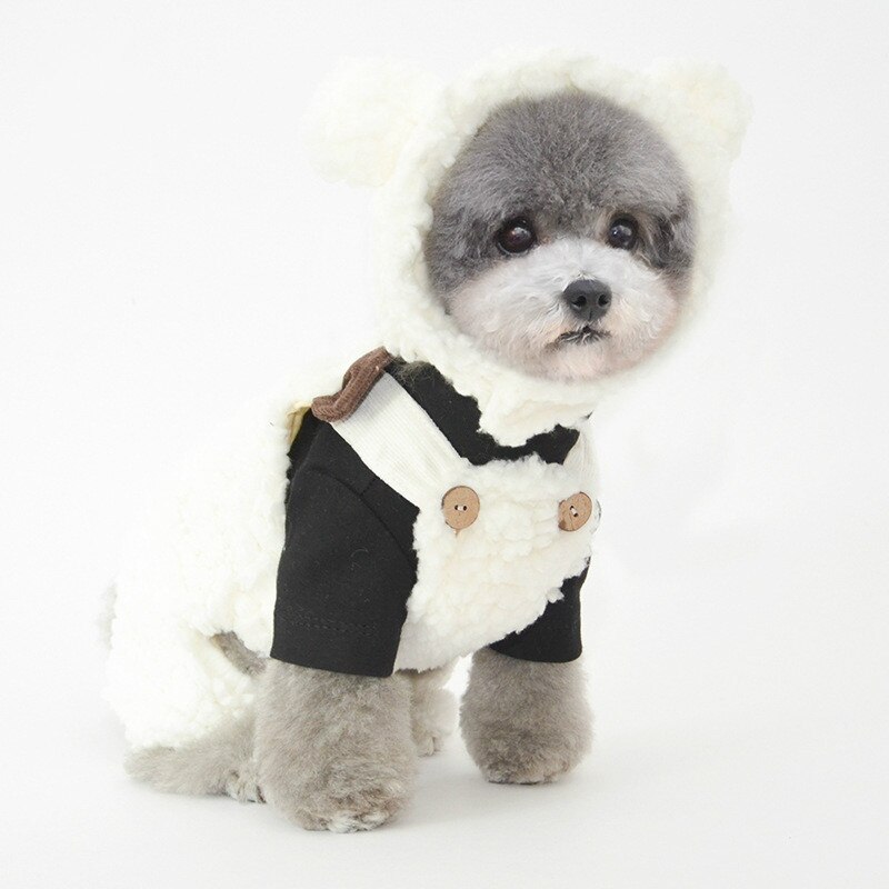Bonnet en peluche pour chien et chat, chapeau mignon, accessoires de Costume pour animaux de compagnie, , de petit à grand
