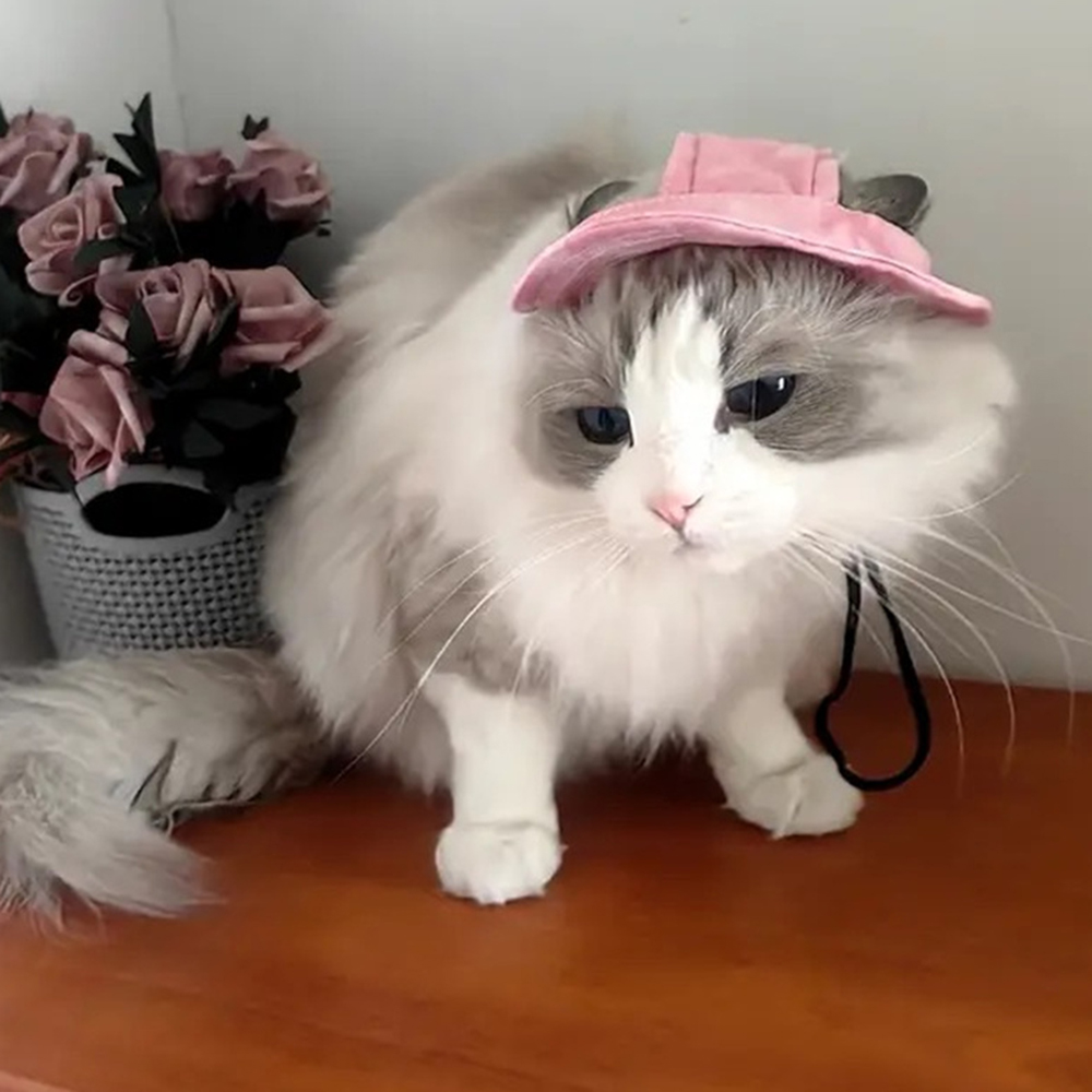 Funny Sphynx Cat Costume Hats with Ear Holes – Grandado