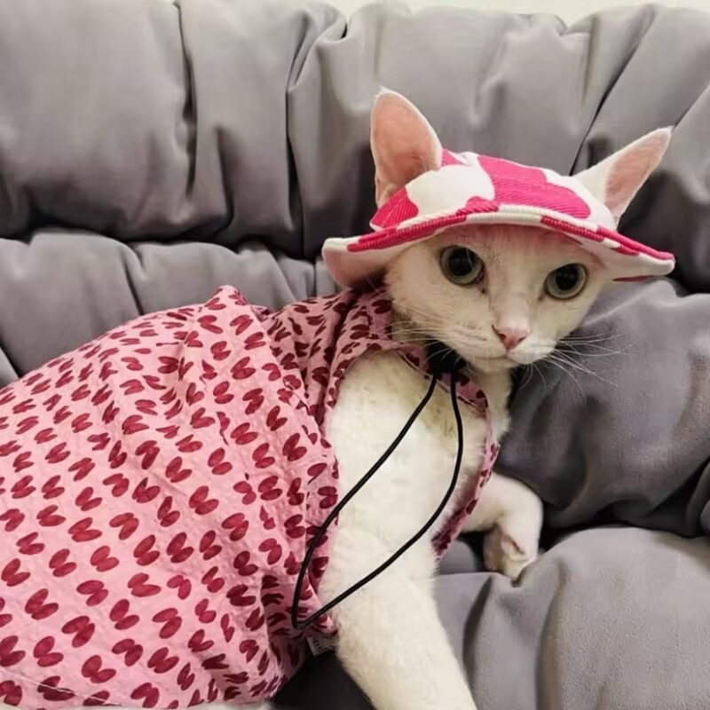 Pet Hat Cat Bucket Hat Dog Sun Hat Pet Accessories Suitable for Small and Medium Dogs and Cats