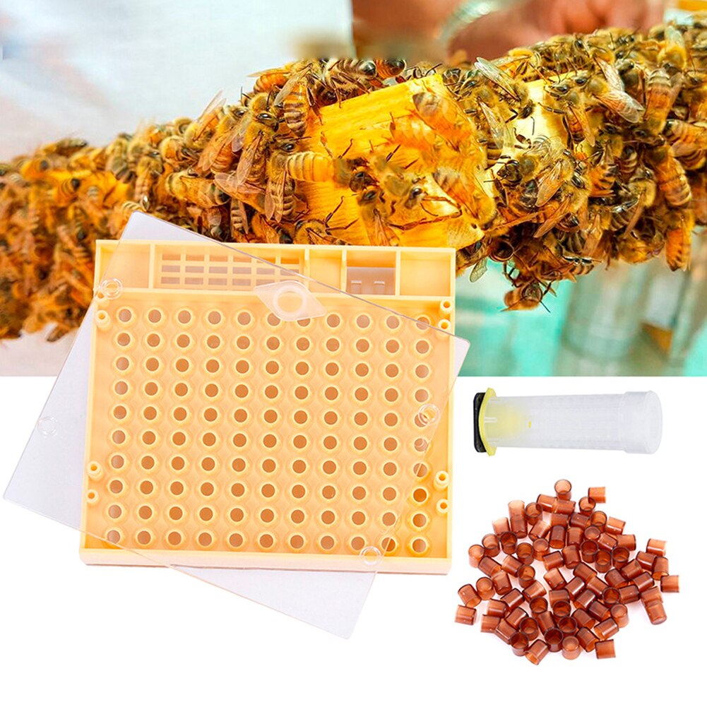 Beekeeping Bee Hive Smoker Kit Beekeeping Tools Equipment Set Queen Rearing System Cultivating Box Beehive Water Feeder