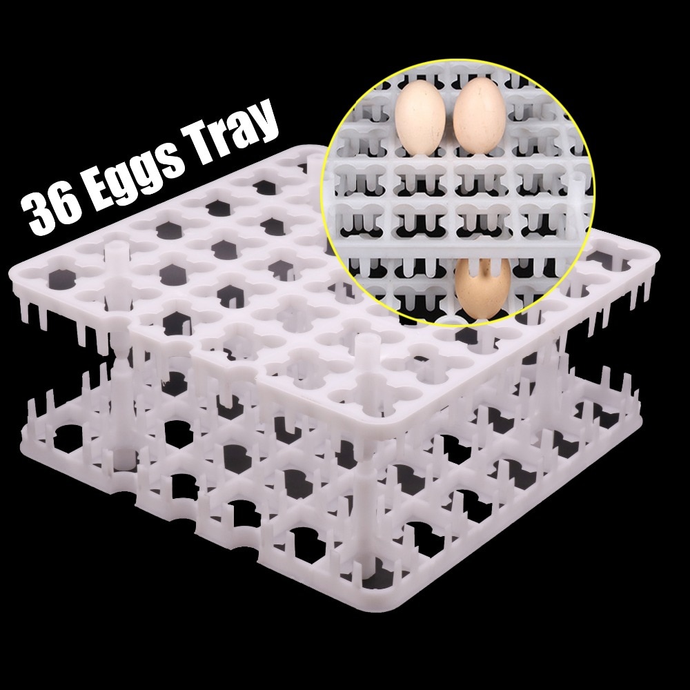 2 Stuks 36 Ei Lade Vervoer Wederverkoop Om De Veiligheid Van Eieren Milieuvriendelijk Plastic Materiaal Pluimveehouderij