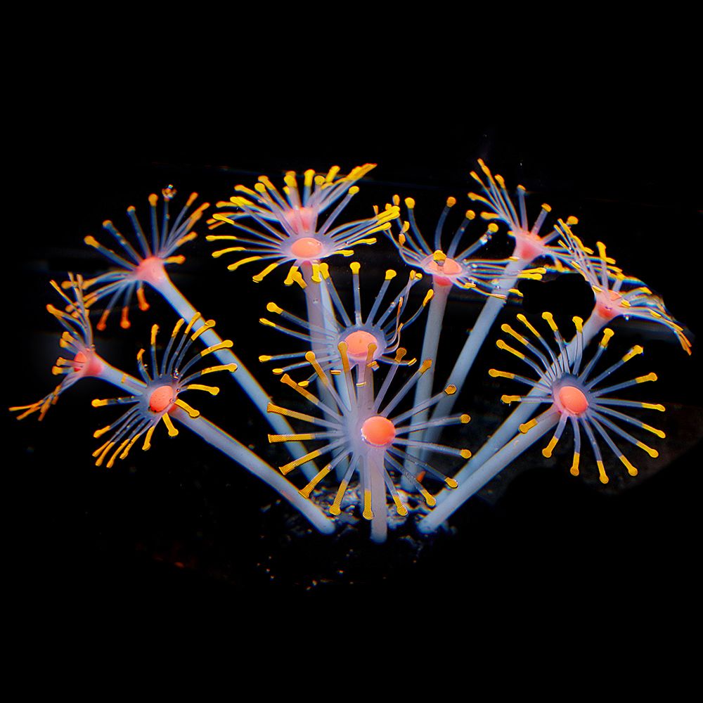 Aankomsten 1 stuks 21cm hoge siliconen kunstmatige vissenkom aquarium koraal plant bloem ornament waterdecoratie huisdecoratie: 10