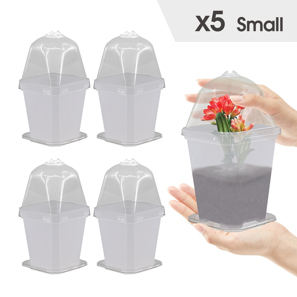 4-maten tuinkwekerij zaailingbeker met warmer deksel vochtigheidskoepel voor binnenkas bloempotten container kweekpotten: Paars