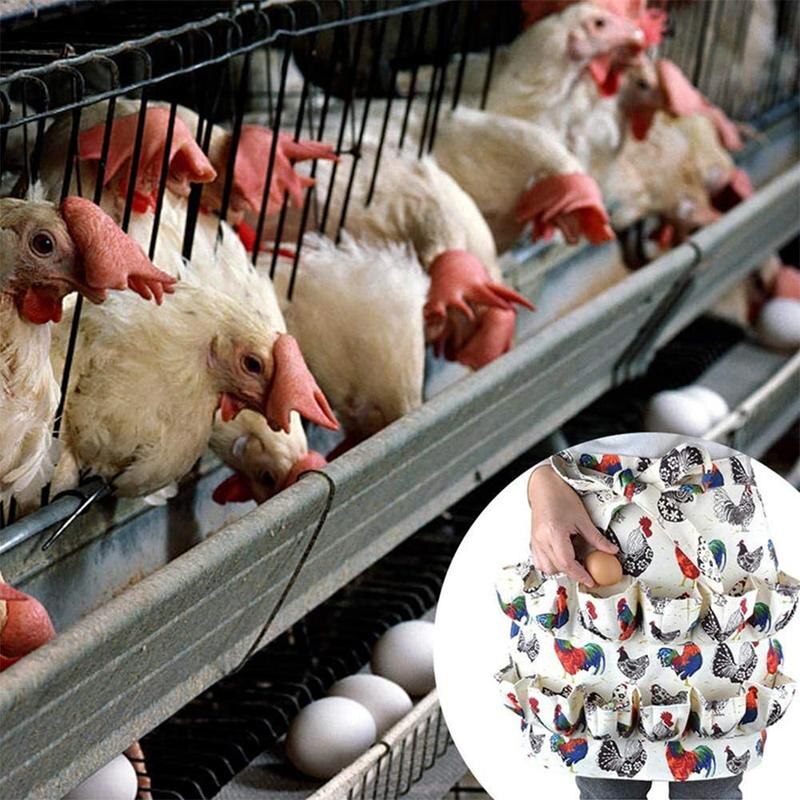 Æg indsamling indsamling bedrift forklæde til kylling and æg gåseværktøj hjem køkken husmor arbejdstøj hense bondehus v6 q 6
