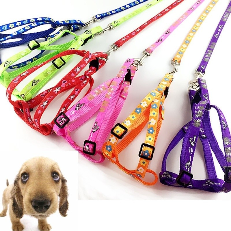 1pc 120cm hundesnor lang nylon breakaway kæledyrsvandring blyreb hund daglig gangsnor 6 farver levering