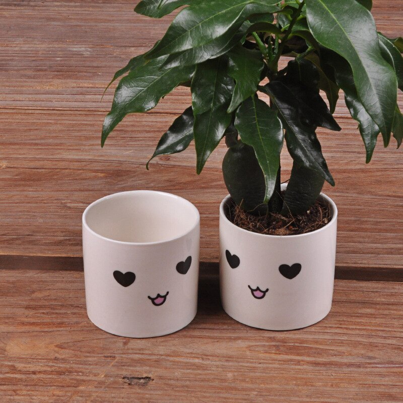 6 Styles Ceramics Planter Flowerpot Cute Expression Garden Succulent Plants Desk Flower Pot Garden Decor Ceramic Vase: d