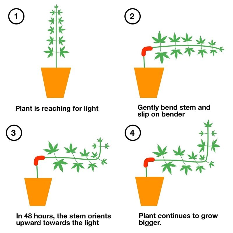 Cintreuse de plantes à 90 degrés (Pack de 35), pour l'entraînement à faible Stress (LST) et l'entraînement des plantes
