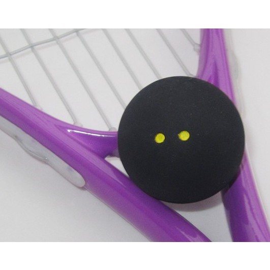 Suzakoo – raquette de Squash deux points jaunes, 1 pièce, exercice d&#39;entraînement pour débutants, balle lente