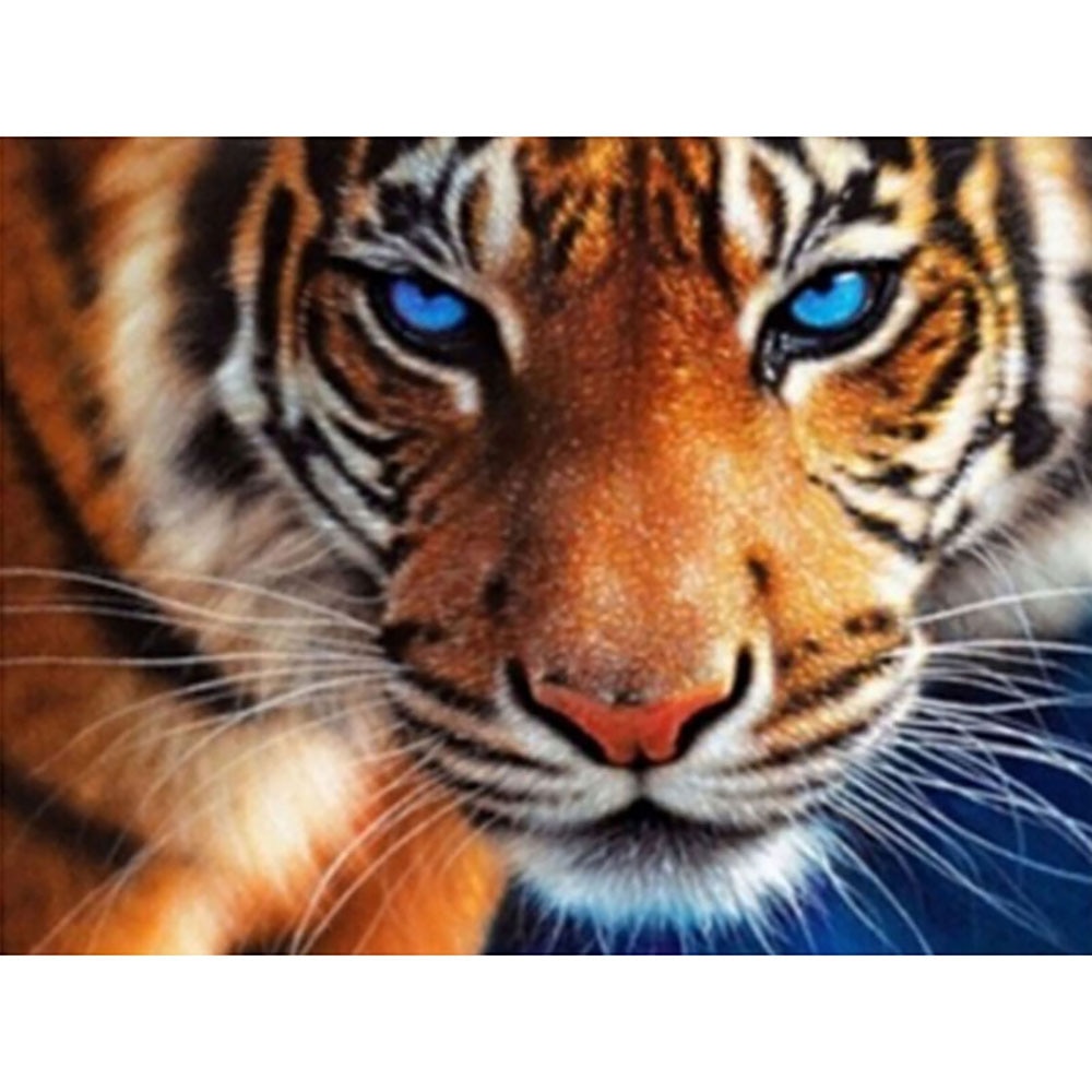 DIY 5D Full Diamond Painting Cross Stitch tiger of blue eyes Diamond Embroidery Needlework Patterns Rhinestone kits