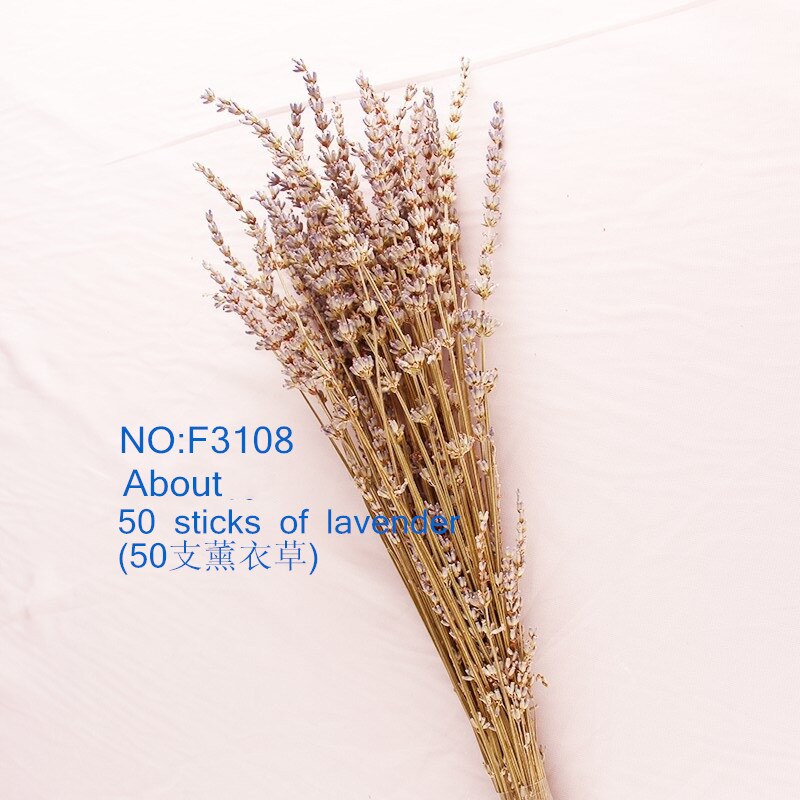 Suszone naturalne kwiaty Setaria trzciny kwiat wesele ozdobne statki księga gości dekoracje dla domu Diy bukiet pszenicy rekwizyty fotograficzne: F3108