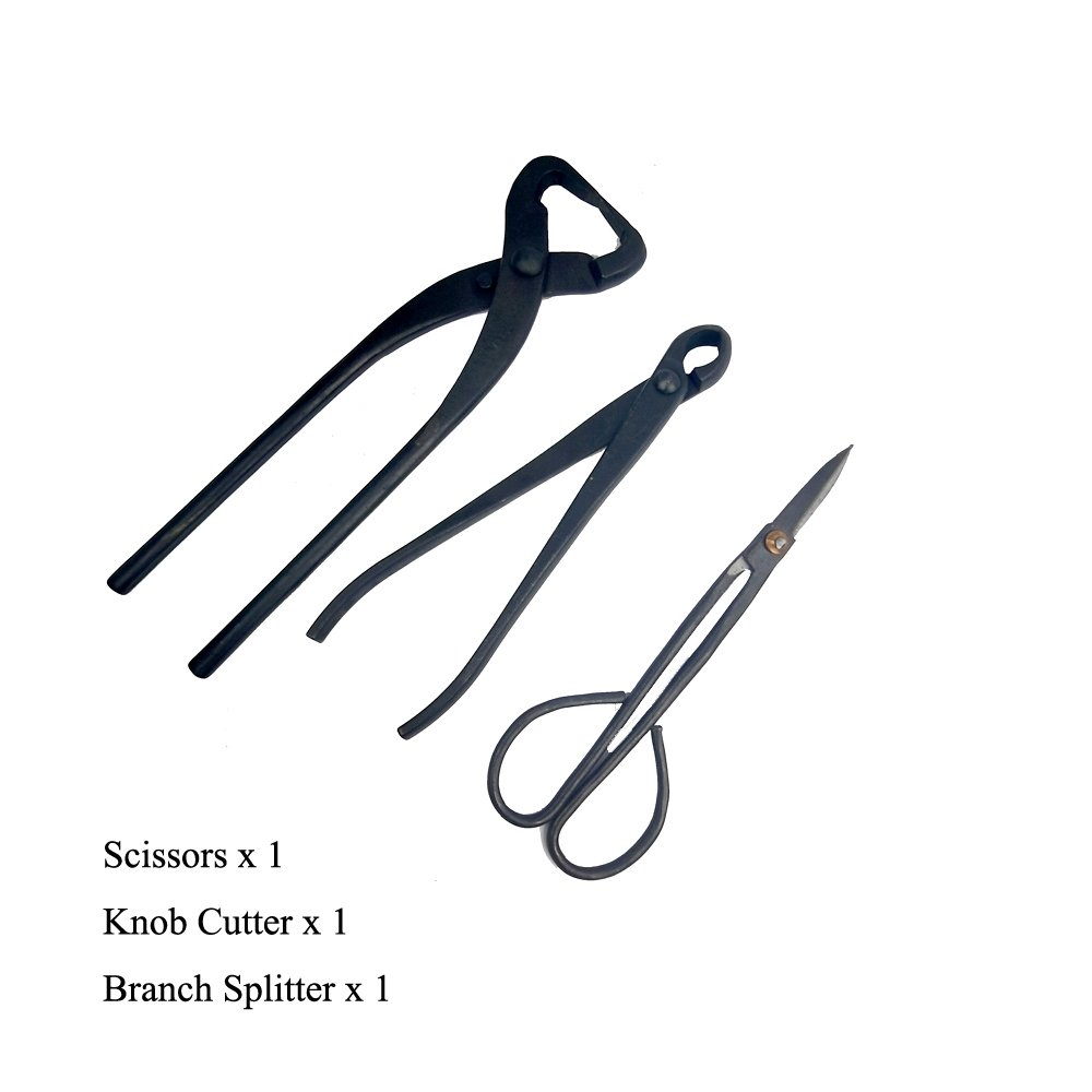 Juego de Herramientas para bonsái, Kit de tijeras de corte extensivo para poda de jardín, herramientas de estilismo para bonsái, 2/3/4/5/6 piezas: Negro