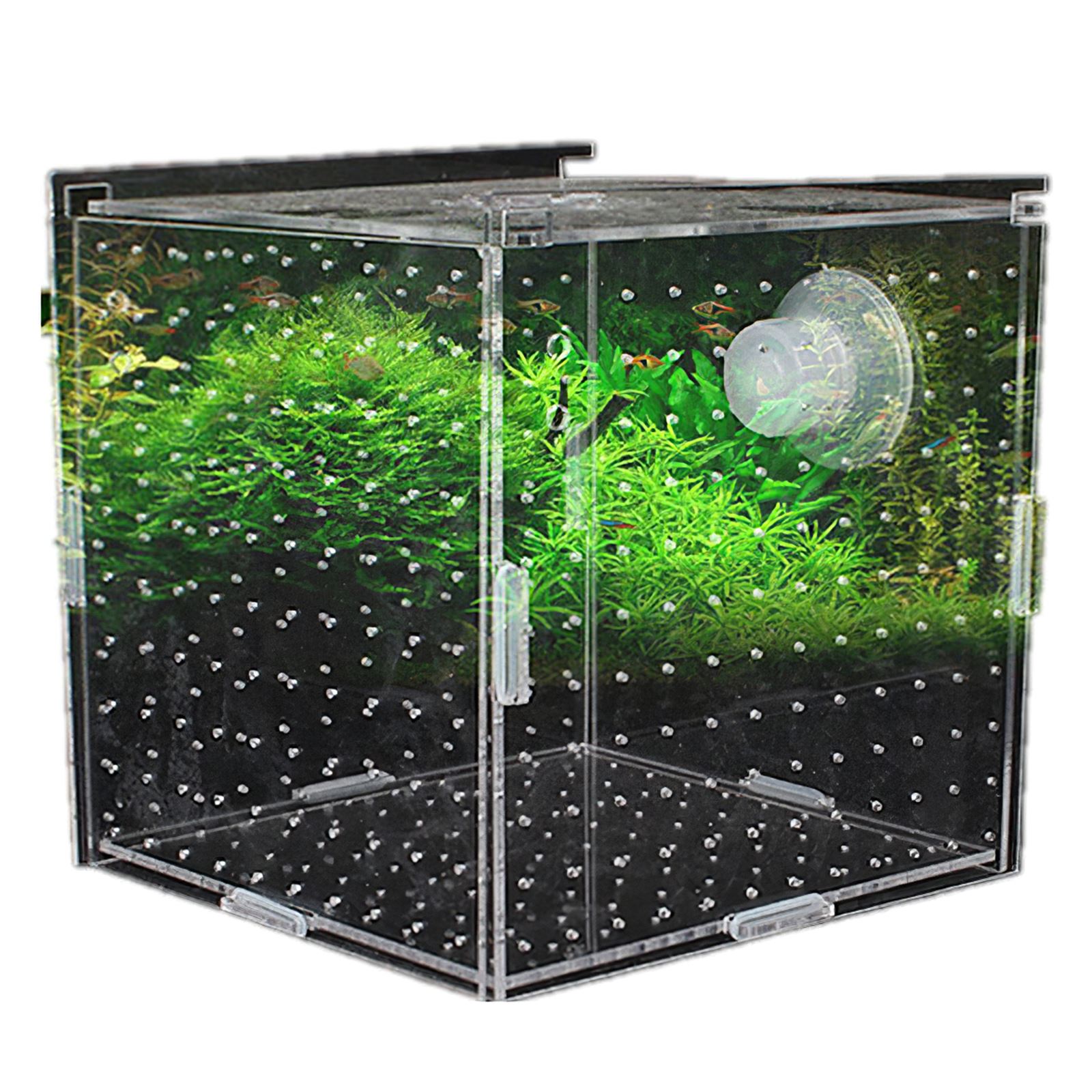 Acrylic Fish Breeding Box Transparent Isolation Box Breeder Portable Fish Hatchery Box Hatching Boxes Accessory For Pets Breed: Default Title