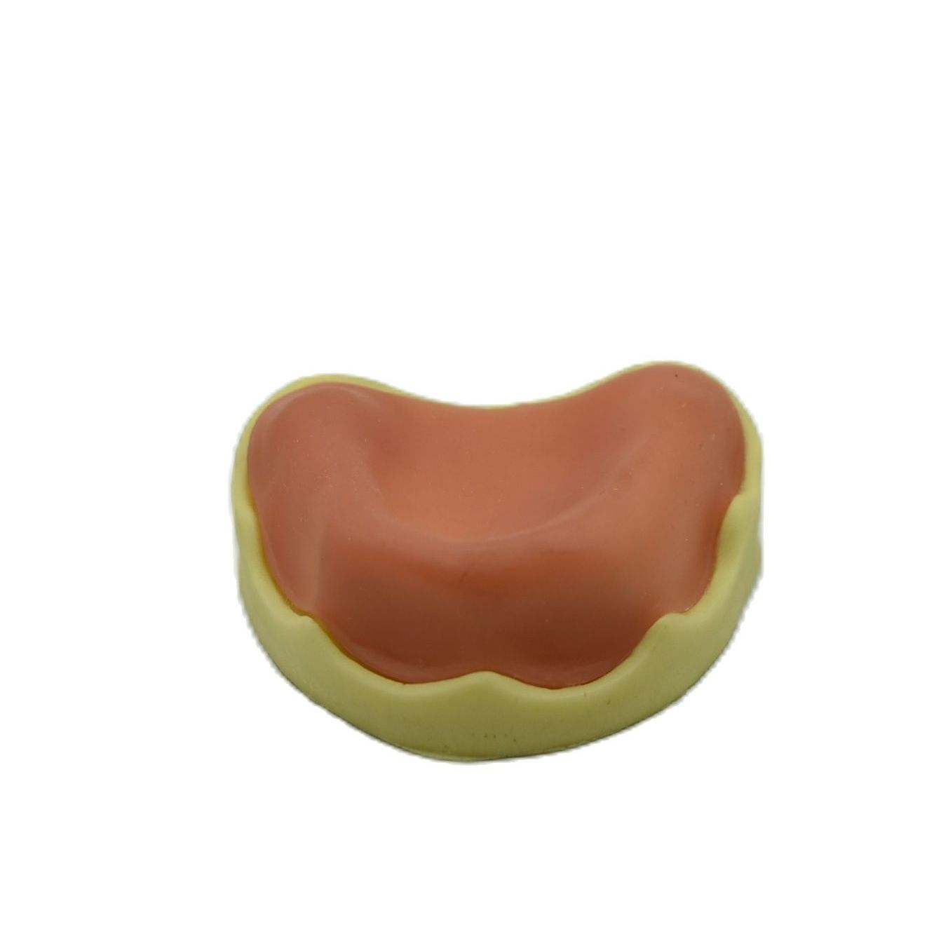 1PCS Dental Mandibular Demonstration Oral Model Implant Practice Maxillary Sinus Teaching Model Soft Gum Training Teeth model: G