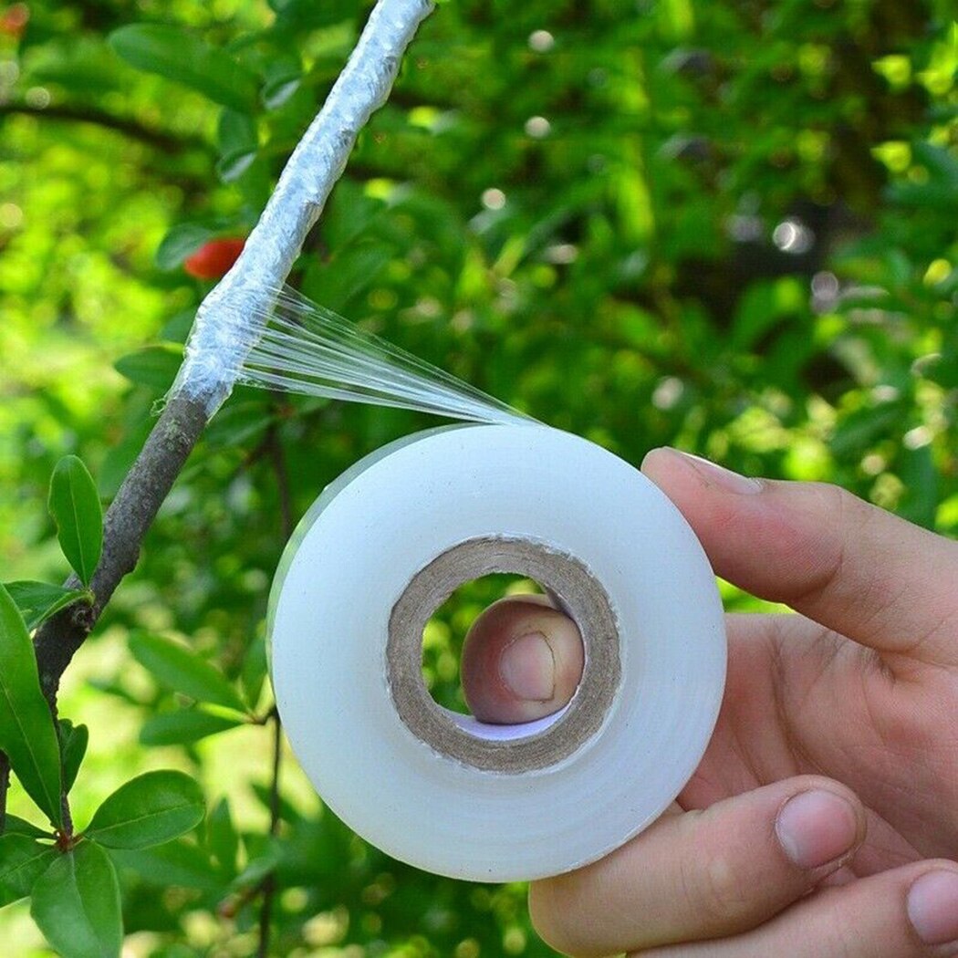 Walnuts Grafting Tape Citrus Stone fruits Budding Fruit Tree Graft Tie