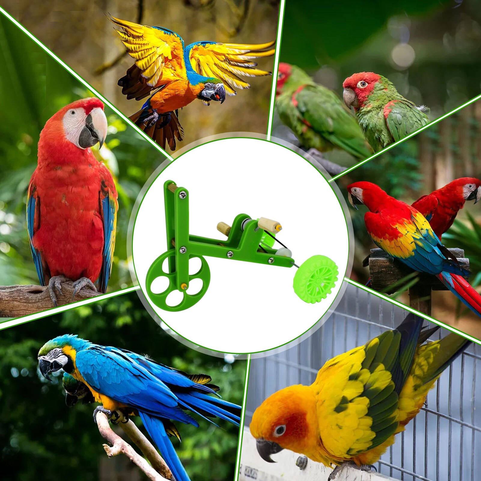 Perroquets vélo jouet d'équitation pour oiseaux, balançoire suspendue, jouet amusant et sûr, Intelligence oiseau, Train, fournitures d'oiseaux