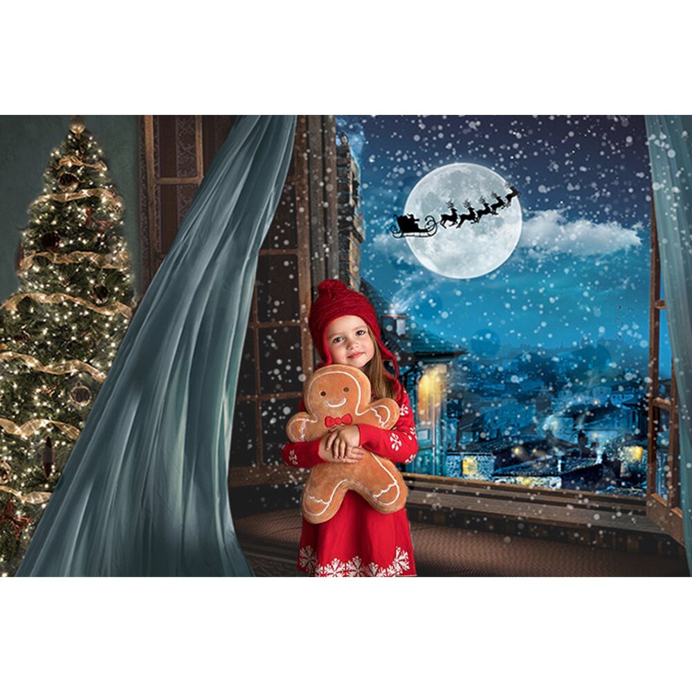 Fenêtre noël famille Portrait photographie arrière-plan Village hiver rêveur ciel étoilé arbres de noël toile de fond Photo Shoot