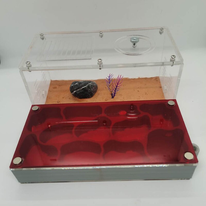 Large Size Ant Farm 3D Printing Flat Ant Nest Acrylic Activity Area Ant Workshop Castle Ant Nest With Shading Board 18x18x6.5cm: D-2