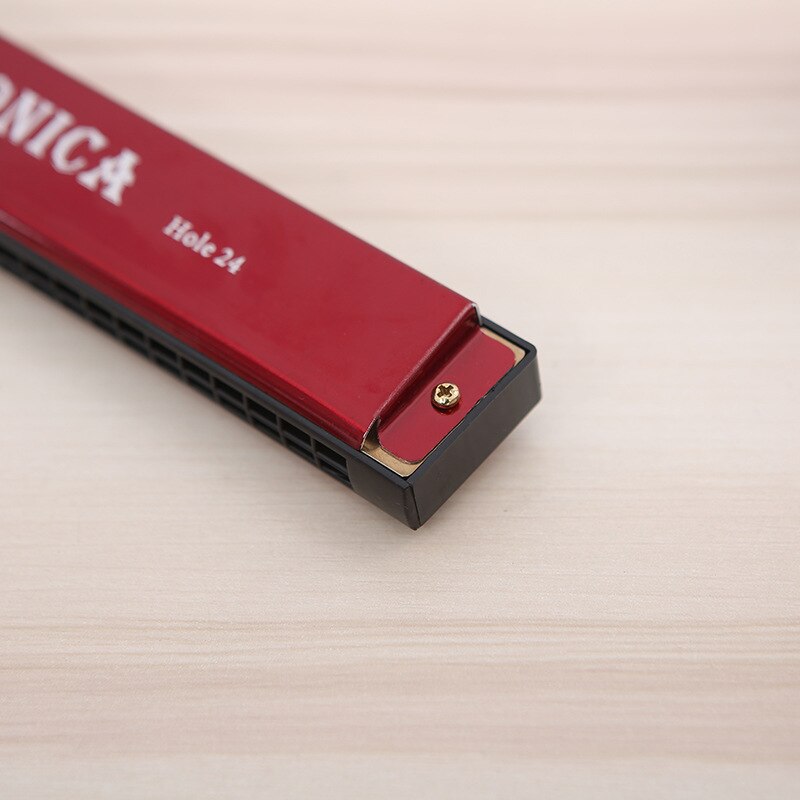 c double row harmonica beginners children introductory students practise self-taught adults play a musical instrument