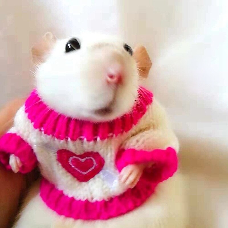 Streifenhörnchen Kleidung Streifenhörnchen Kleidung Hamster Kleidung Mini Hütte Kleine Hamster Winter Handgemachte Wolle Kleidung