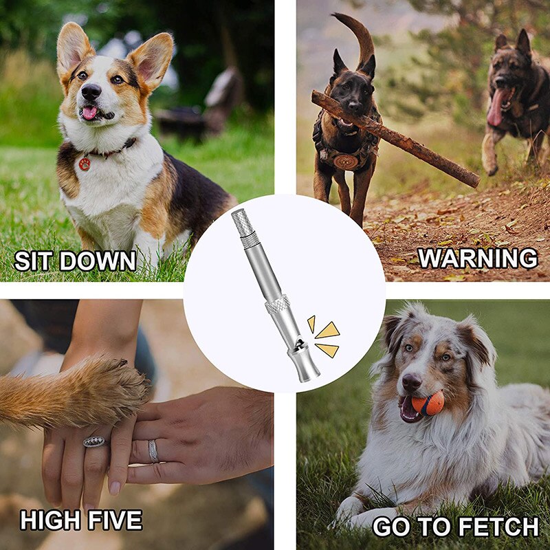 Dog Whistles Adjustable Tone to Prevent Barking Dog Training Whistles Training Tool with Black Leash MD7