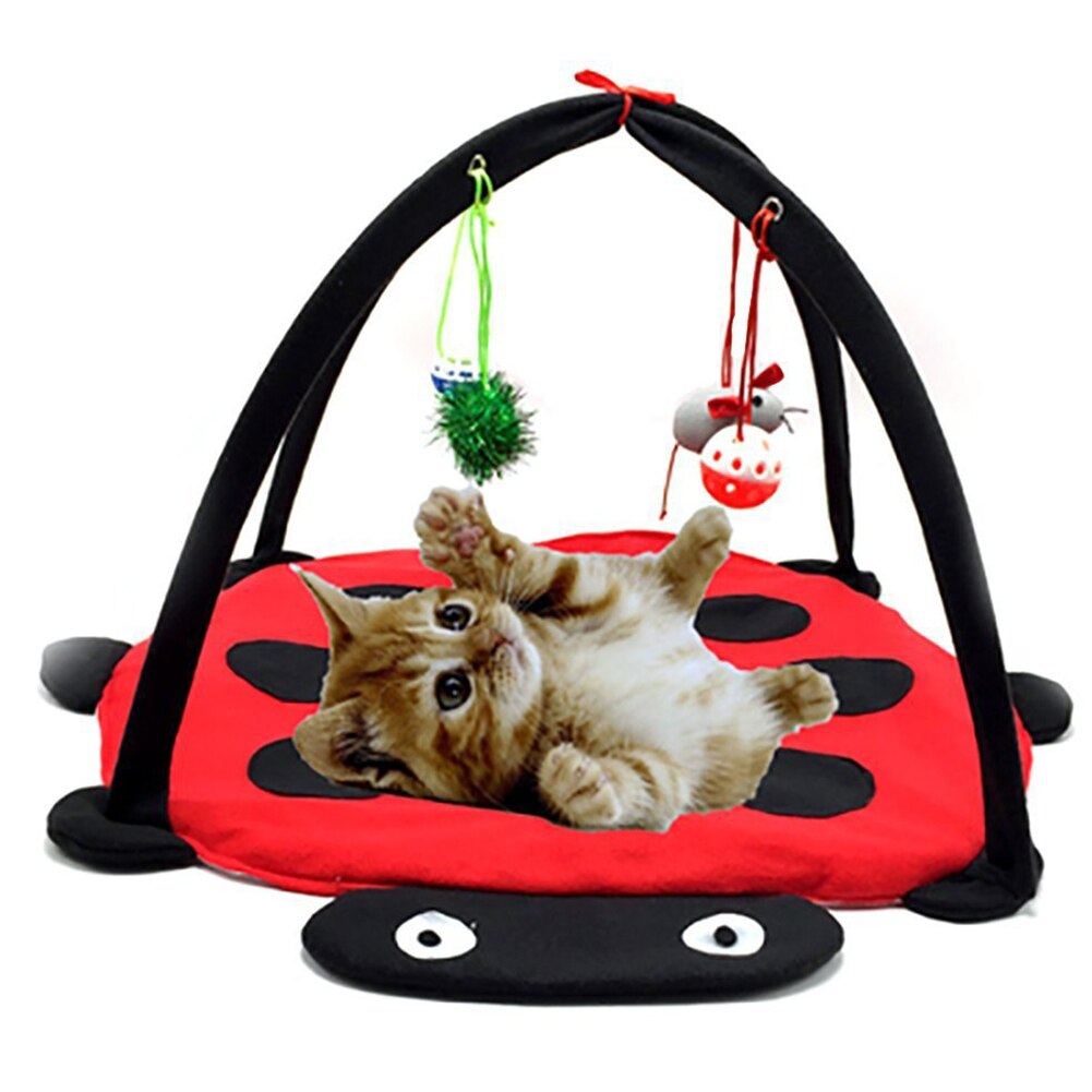 Play Foldable Shape Cat Supplies House Furniture Comfortable Hanging Funny Training Removable Pet Bed Toy