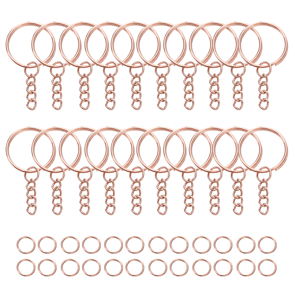100 stuks sleutelhangers met labelvenster, 10 kleuren uitwisselbaar