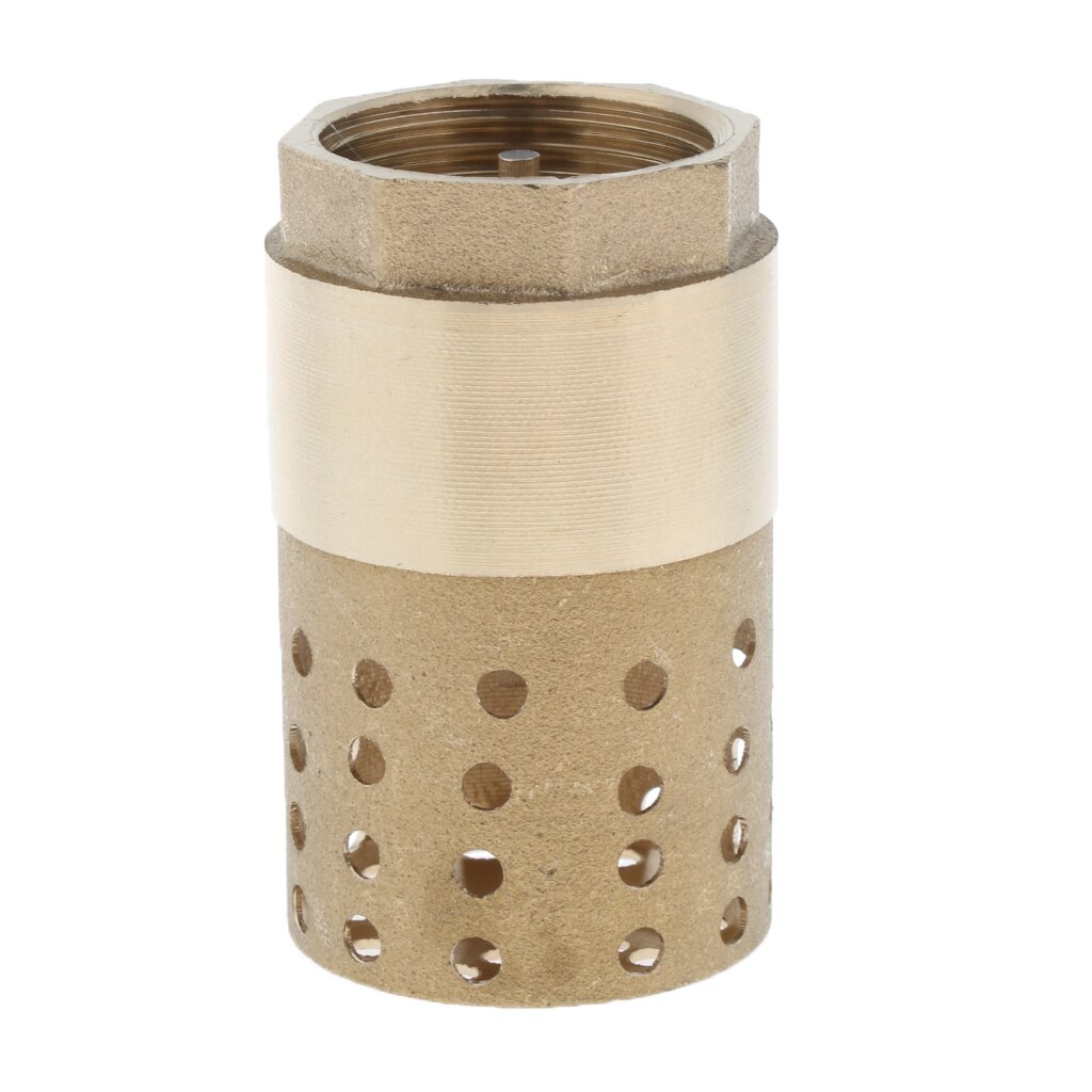 Brass In-Line Check Valve with Strainer 1 inch, Easy to Install