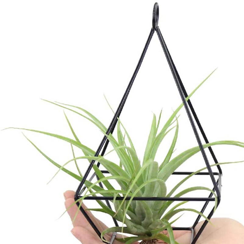 2 Stuks Air Plant Holder, Air Plant Terrarium, Air Plant Stand, moderne Stijl Air Plant Tafel Houder Vier Kant Beugel