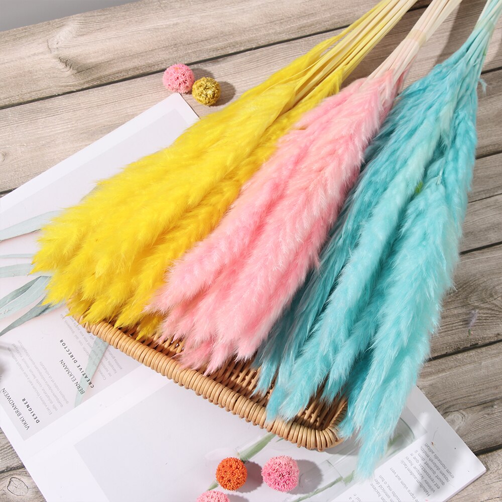 15/25 sztuk trzciny naturalne pszenicy kwiat bukiet suszone Pampas ślubny kwiat bukiet bukiety Bulrush dla Home Decor materiały ślubne