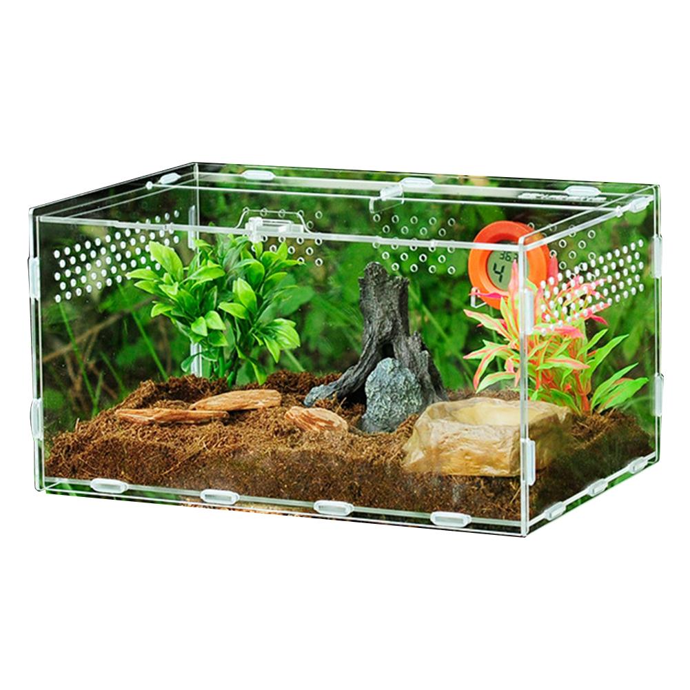 Akryl terrarium edderkop avl boks krybdyr fodring kasse til klatring kæledyr terrarium slange edderkop firben skorpion tusindben: Chokolade