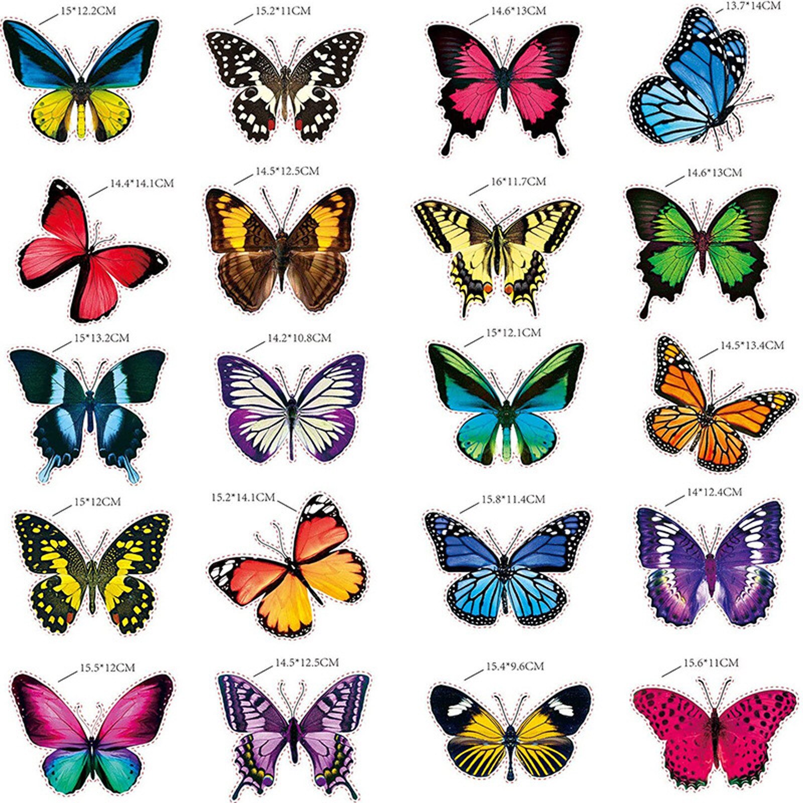 Home Large Beautiful Colourful Butterflies Cling