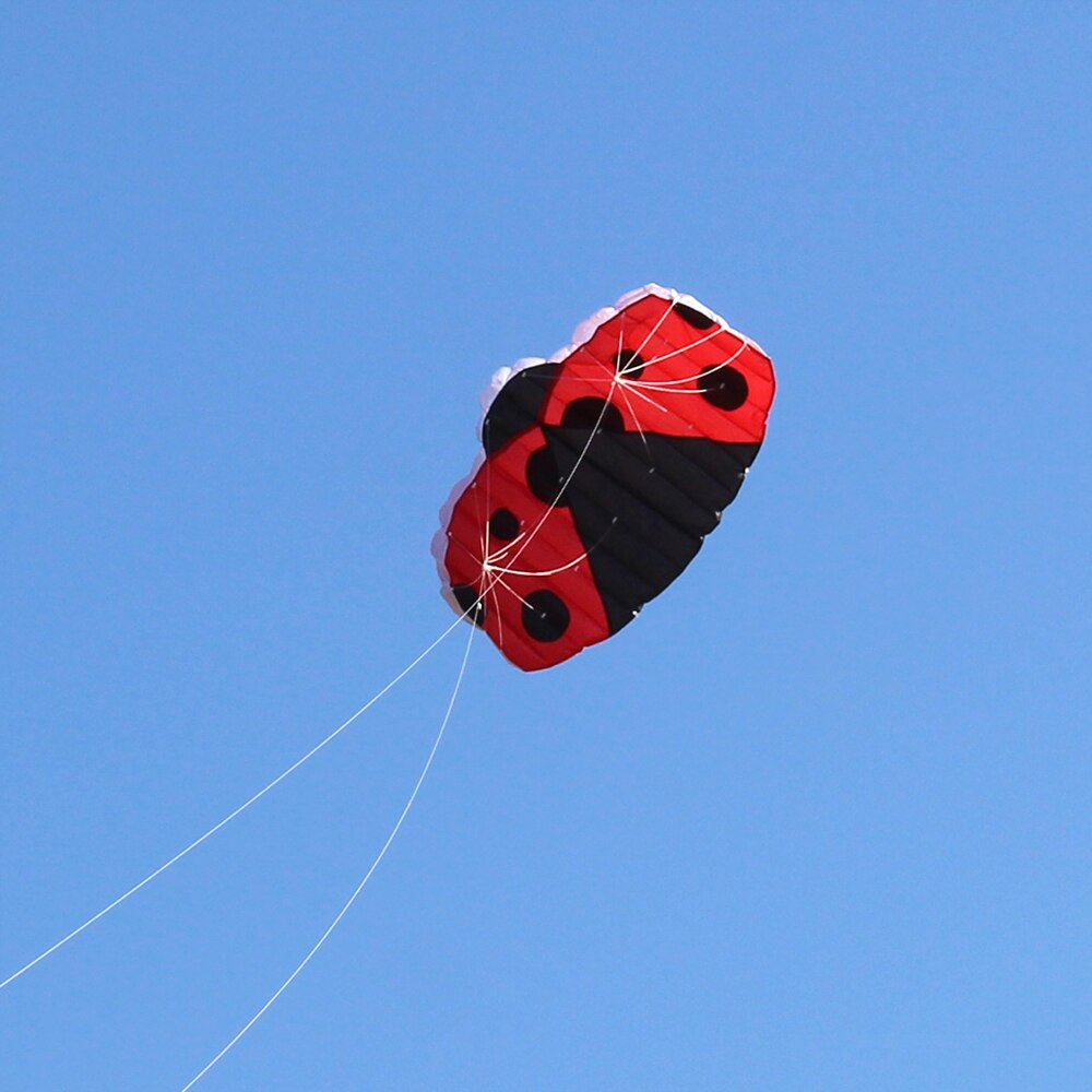 140x74 cm Frameloze Zachte Dual Line Stunt Ladybird Parafoil Kite Enorme Parachute Sport Strand Vliegende Kite