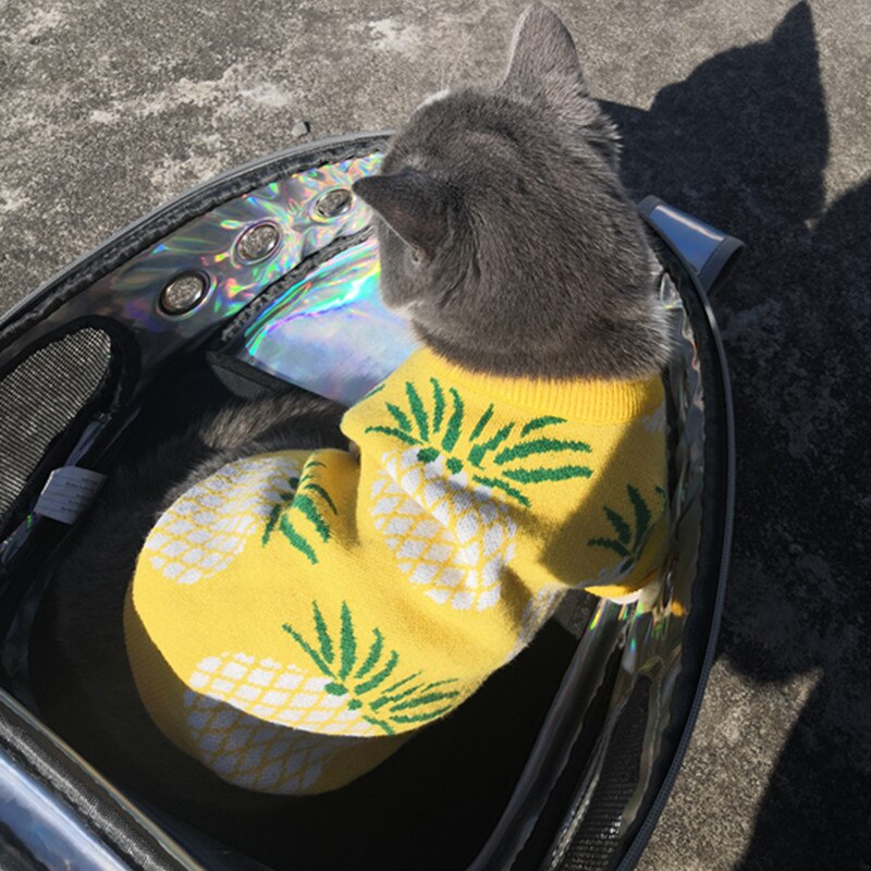 Pull de luxe à manches courtes pour chat et chien, ananas