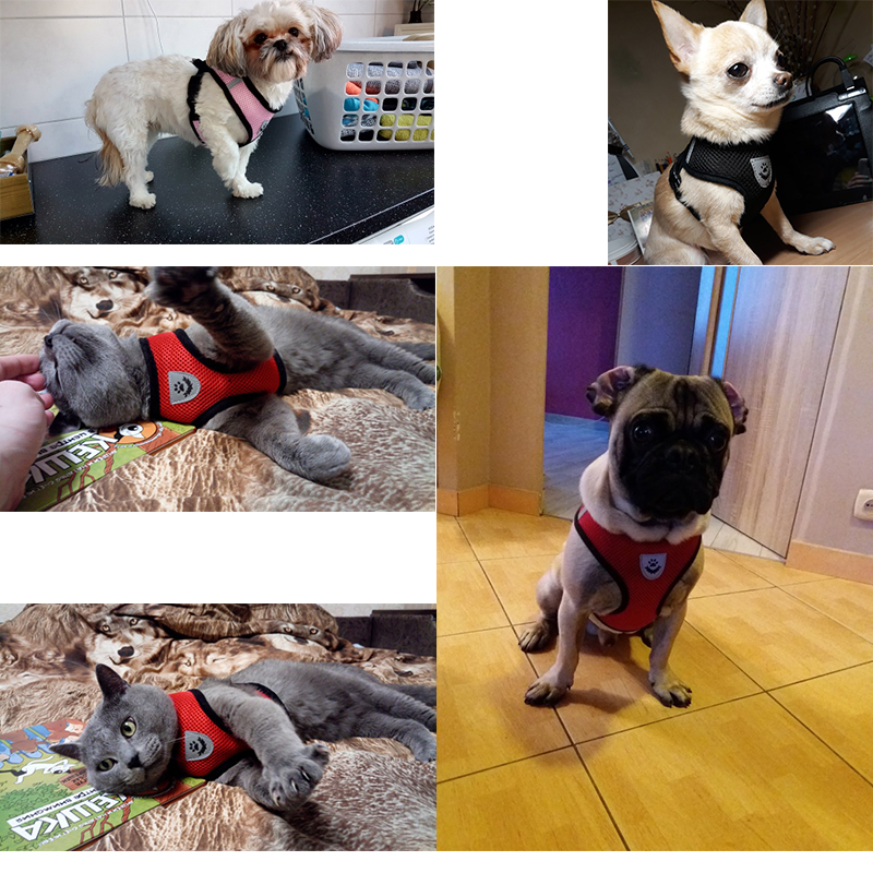 Ademend zacht hondentuigje, kattencontrole, nylon mesh, verstelbaar vest, harnas, riem voor puppy, borstband, huisdierproducten