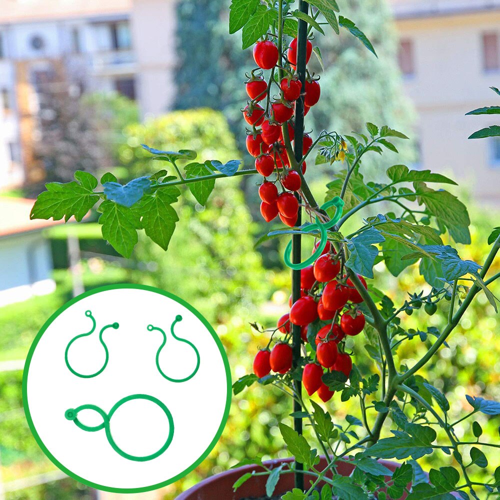 Clip de plástico para Injerto de plantas de jardín, pinzas para celosía, para vid, verduras, tomate, soporte para plantas de jardín, 50/100/200 Uds.