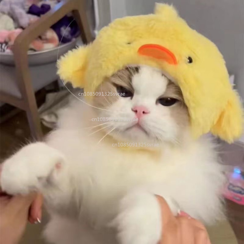 Gorro de gato refinado bonito, gorro elástico de felpa para invierno para mascotas, gorro tejido para cachorros y gatitos, accesorios de decoración para y Cosplay, accesorios para gatos para mascotas
