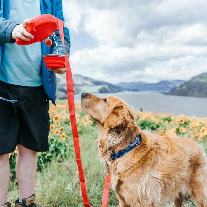 neue arrvial Multifunktions Haustier Hund Leine mit Gebaut-in Wasser Flasche Schüssel Abfall Tasche Spender
