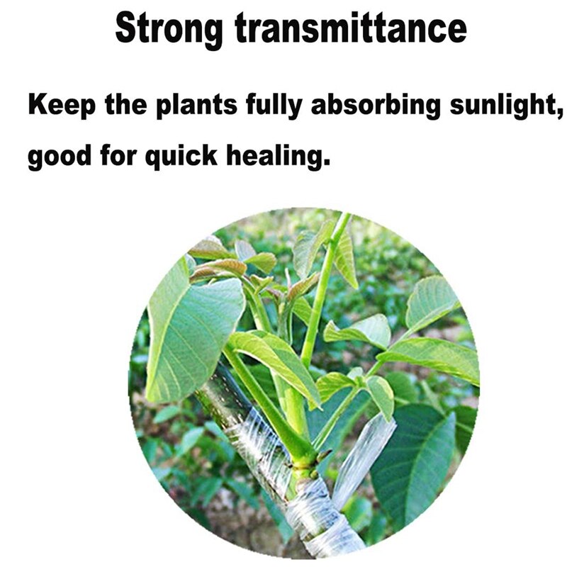 10 rotolo di Nastro Innesto Trasparente Floristica Innesto Pellicola auto-Adesivo Pianta del Nastro di Riparazione per Albero Piantina 3 centimetri
