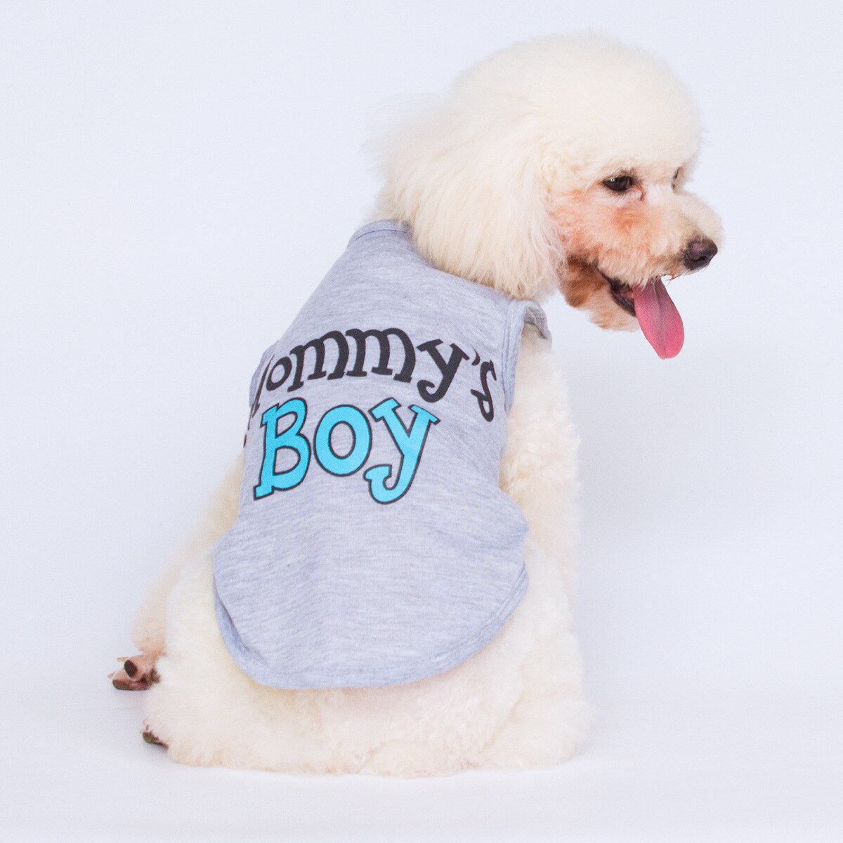 Hond Kleding Voor Kleine Jongen Hond Puppy Kleding Voor Chihuahua Yorkies Bulldog Clothespet Outfits Hond Shirt Kleding Accessoires