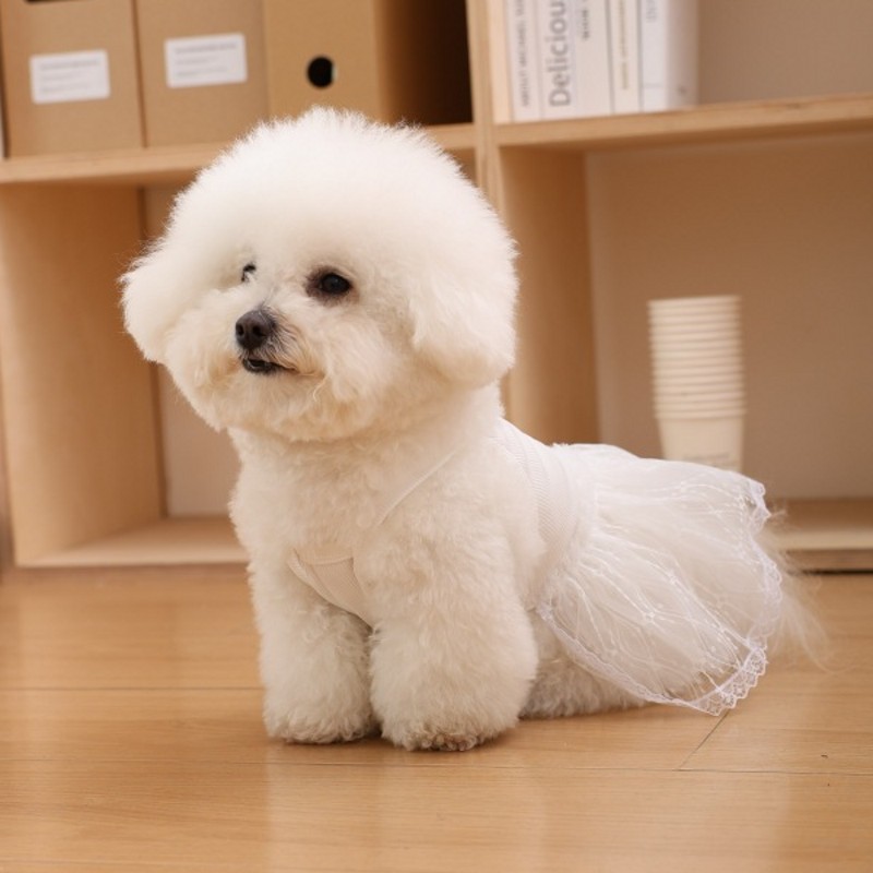 Vestido de verano para perros, ropa para cachorros, falda de princesa Margarita bonita, disfraz refrescante para perros Chihuahua Bichon, ropa para mascotas, vestidos para perros y gatos: XL / Morado