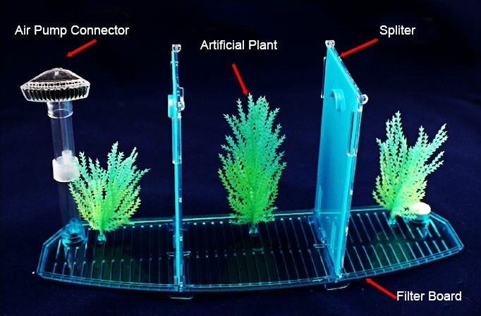 Pecera acrílica de tres divisiones, pecera Betta, luz Led para acuario, Incubadora, caja de cría, pecera Guppy, pecera, casa reptil de tortuga