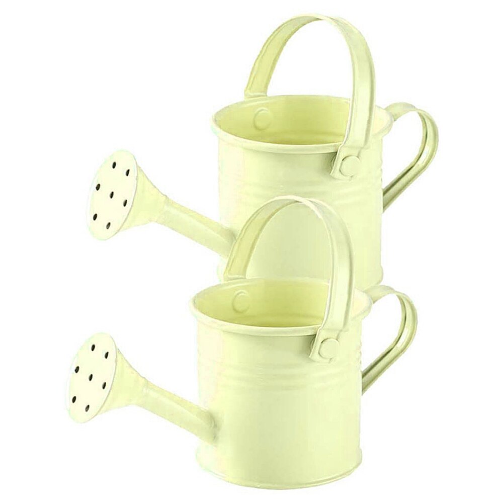 Tin Watering Can Plant Spray Sprinkled Portable Gardening Tools Wrought Iron With Handle Metal Shower