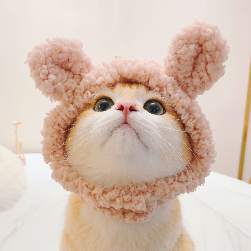 Casquette de chat drôle, couvre-tête en peluche, mignon chat chien tissé, coiffure chaude, chapeau pour animaux de compagnie, chaton, chiot, accessoires de Costume de Cosplay