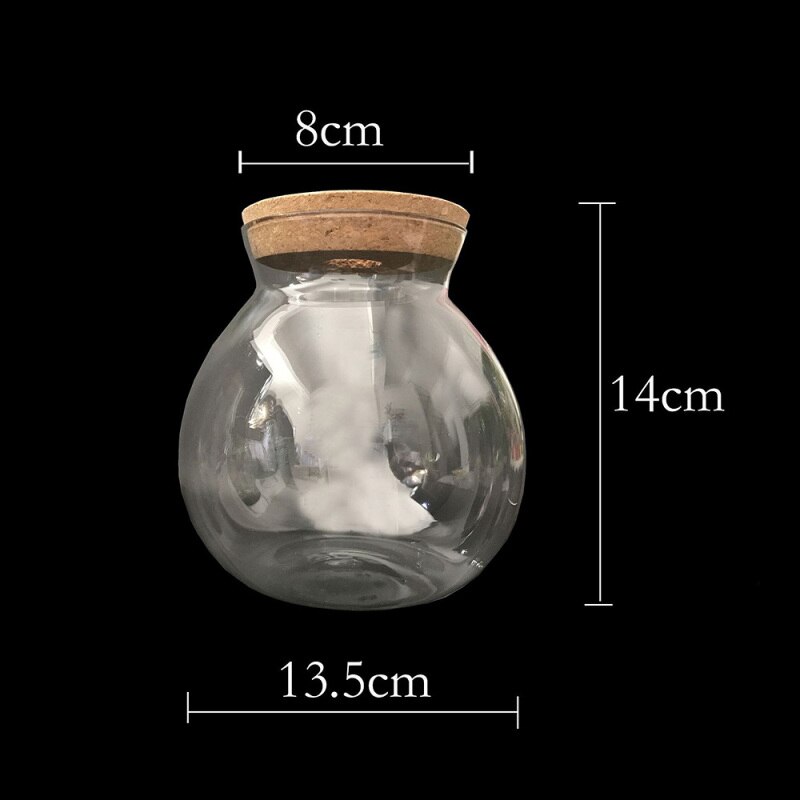 Tarro de cristal redondo para acuario, botella vacía de micropaisaje, luz nocturna, adornos para pecera, 1 ud.: 2