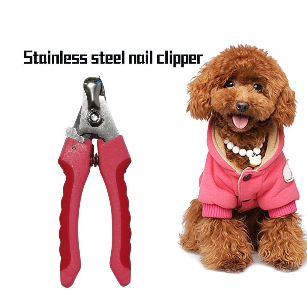 1pcs Pet Nail Clippers Cutter For Animal Dogs Cats Pig Birds Guinea Claws Scissor Cut Product Scissors Brand
