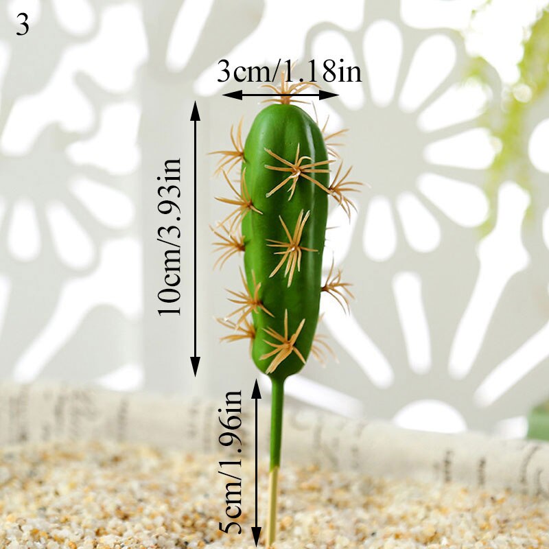 Graines de graines pour Aquarium, plante aquatique, graines faciles, Aquarium, aménagement paysager: 3