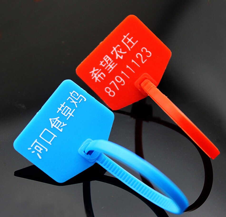 Plastic Tags, Double-locked Nylon Labeling Tags Luggage Tags Writable Parcel Tags Labels with Cable Ties for Customs