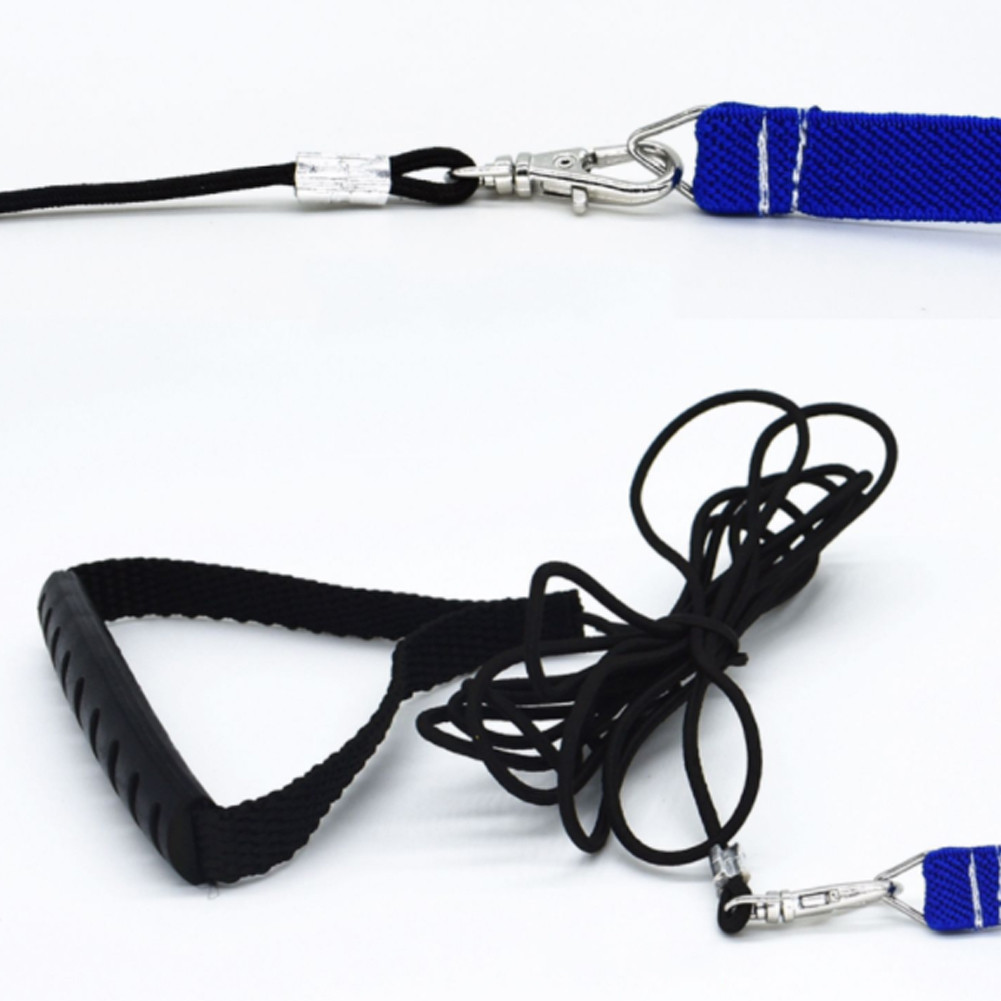 Pet Parrot Traction Strap Bird Harness Leash Flying Rope Straps Outdoor Training Rope For Budgerigar Lovebird Cockatiel Lizard