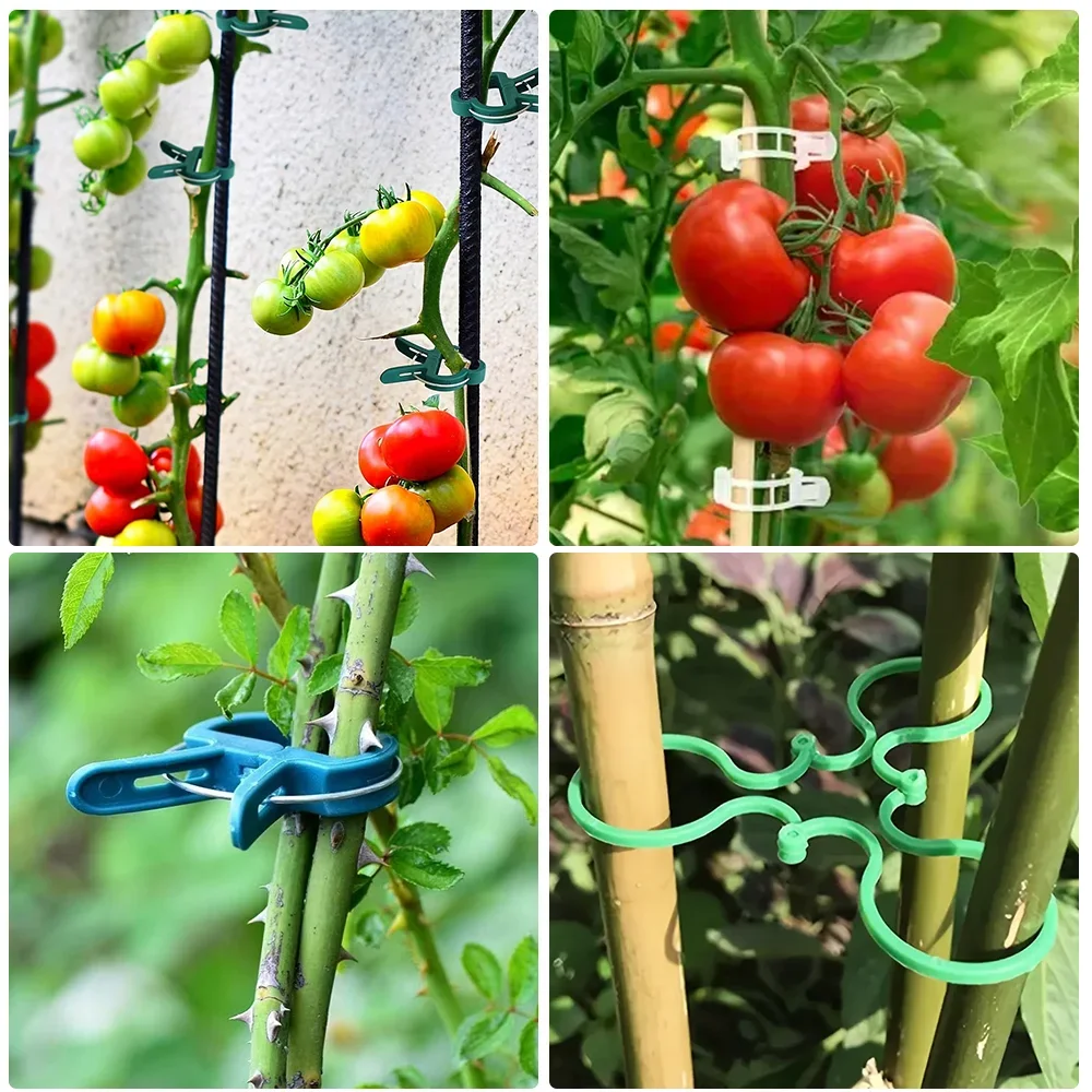 20 pièces Clips de cerclage de vigne de jardin plante groupée boucle porte-anneau tomate jardin plante Support outil jardinage Supports outils