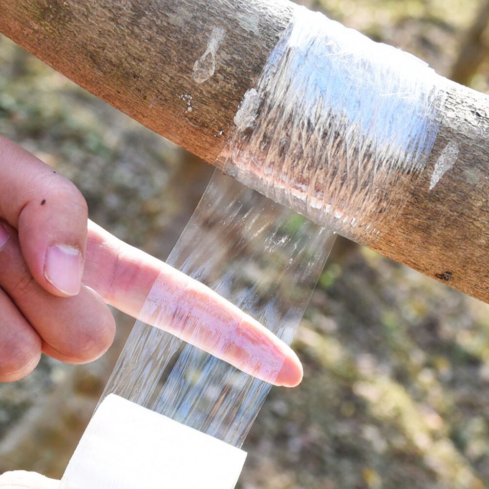 Tijeras de podar profesionales para agricultura, podadora para árboles y plantas frutales, tijeras de podar, cortadoras de ramas, Kit de herramientas de jardinería